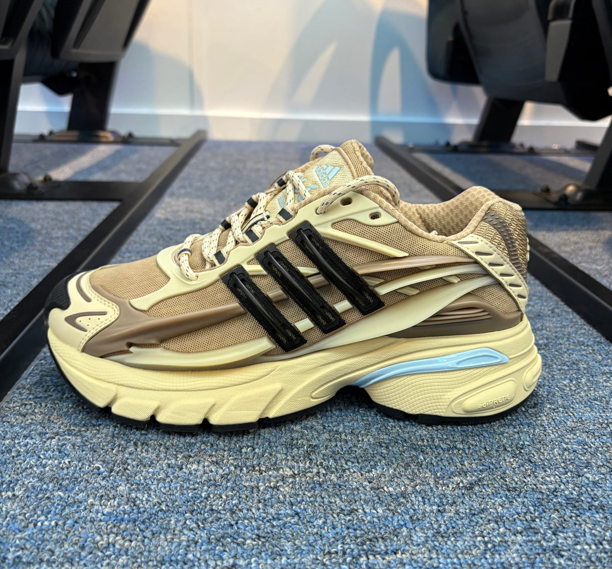 Adidas Adistar Jellyfish ‘Crystal Sand’