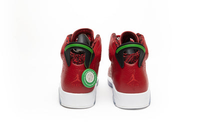 Air Jordan Retro 6 "Spizike"