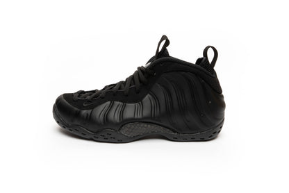 Nike Air Foamposite One Anthracite (2020)