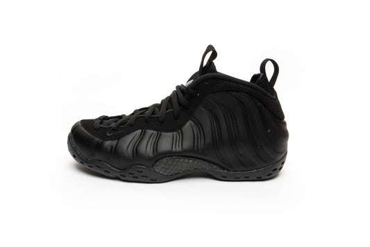 Nike Air Foamposite One Anthracite (2020)