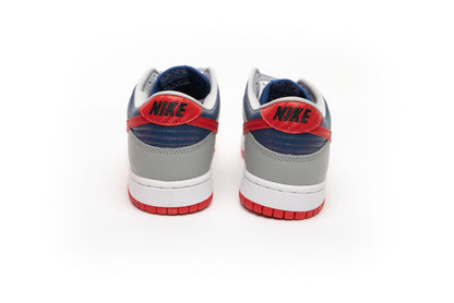 Nike Dunk Low CO.JP Samba (2020)