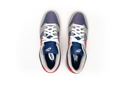 Nike Dunk Low CO.JP Samba (2020)
