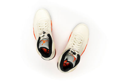 Air Jordan 5 "Shattered Backboard"