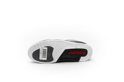 Air Jordan Retro 3 "Stealth"
