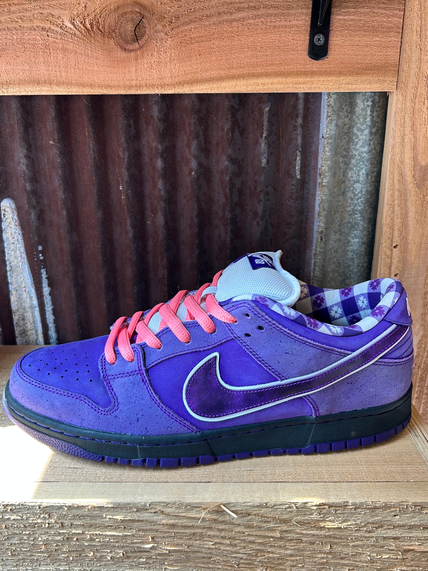 Concepts x Dunk Low SB ‘Purple Lobster